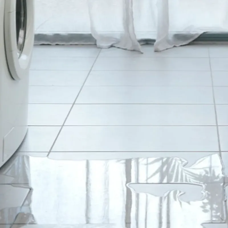 Appliance Leak Cleanup in Olney, TX