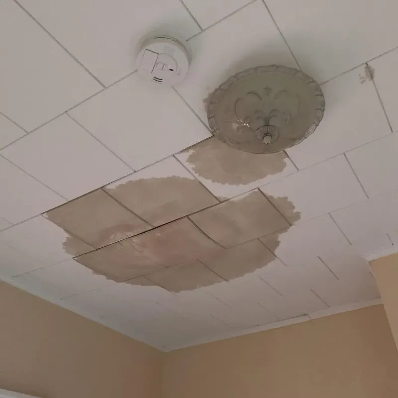 Ceiling Water Damage Repair in Olney, TX