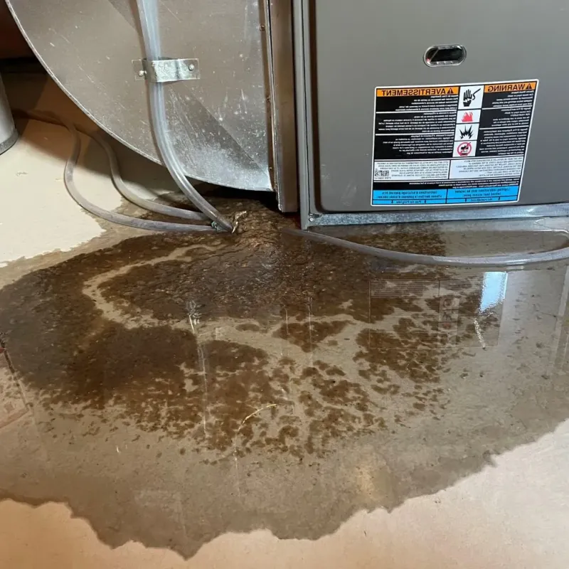 Pipe Burst and Leak Restoration in Olney, TX