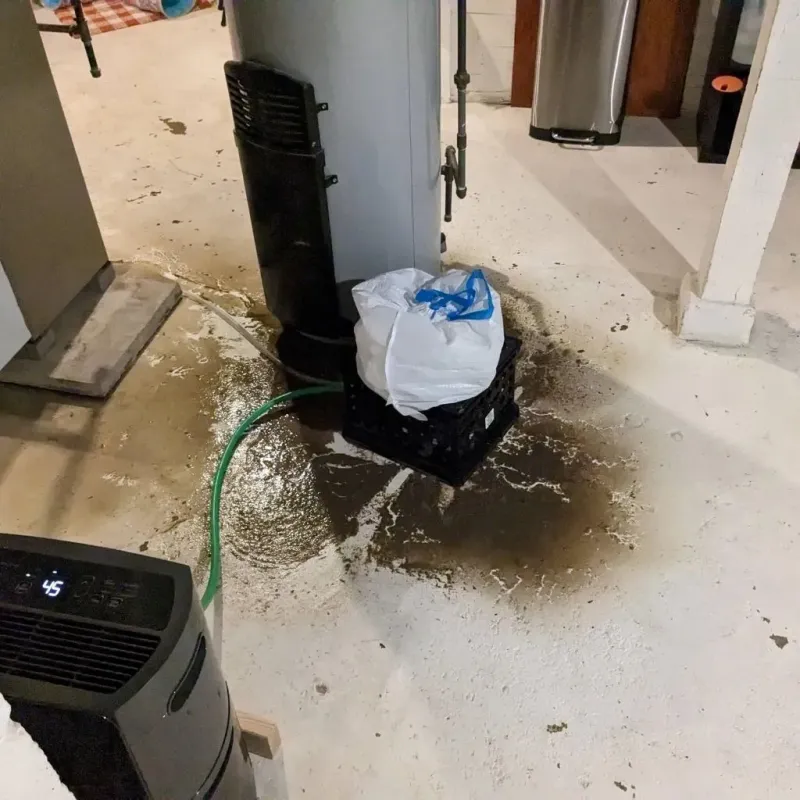 Sewage Backup Cleanup Service in Olney, TX